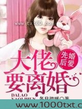先婚后爱,大佬要离婚!图片