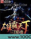 雄霸天下三国魂图片