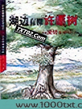 湖边有棵许愿树图片