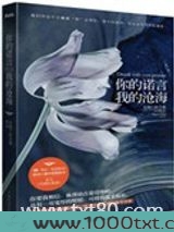 你的诺言，我的沧海（出书版）