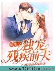 重生之独宠残疾前夫