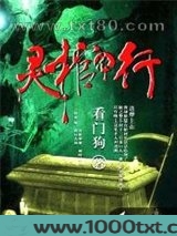 灵棺夜行图片
