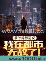 爷爷异界造反，我在都市无敌了！图片