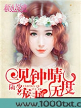 一见钟晴：陆少，宠妻无度图片
