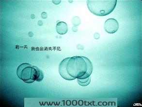 我的时空,你的世界图片