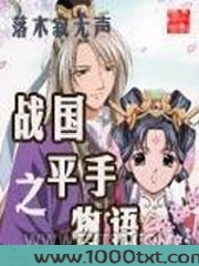 战国之平手物语图片