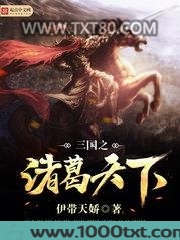 三国之诸葛天下图片