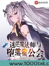 迷茫魔法师与堕落者公会图片