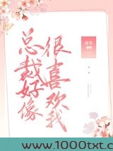 总裁好像很喜欢我