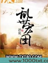 乱世宏图图片