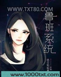 鲁班系统图片