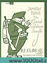 好兵帅克图片