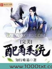 完美配角系统图片
