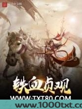 铁血贞观图片
