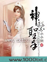 神医圣手