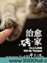 治愈砖家图片