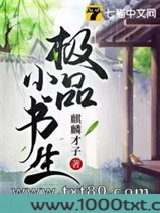 极品小书生