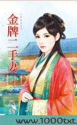 金牌二手妻图片