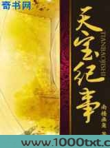 天宝纪事图片