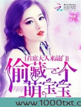 首席大人来敲门:偷藏一个萌宝宝图片
