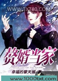 赘婿当家图片