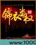 锦衣当权图片
