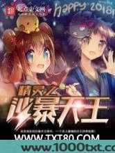 精灵之沙暴天王图片