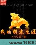 我的明末生涯图片