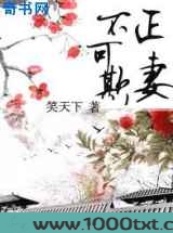 正妻不可欺图片