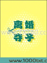 离婚夺子