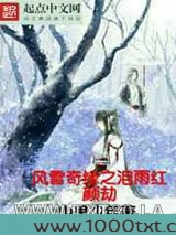 风雪奇缘之泪雨红颜劫图片
