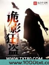 诡影狂盗图片