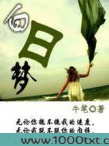 白日梦