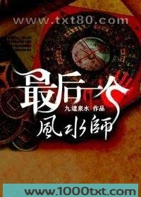 最后一个风水师图片