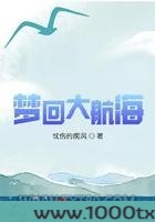 梦回大航海图片