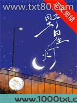 野星灯图片