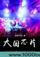大国芯片图片