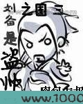 三国之刘备是盗帅图片