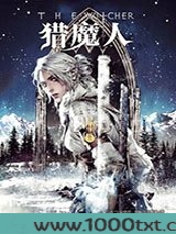 猎魔人6：雨燕之塔图片