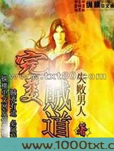 完美贼道图片