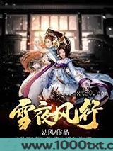 雪夜风行图片