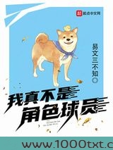 我真不是角色球员图片