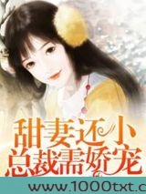 甜妻还小,总裁需娇宠图片