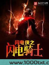 闪电侠之闪电骑士图片