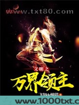 文明之万界领主图片
