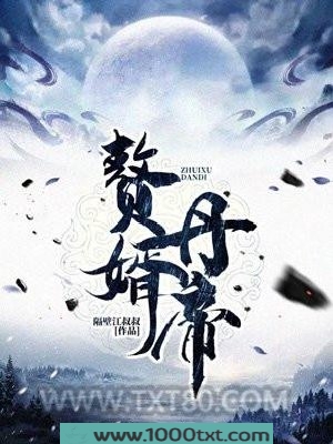 赘婿丹帝图片